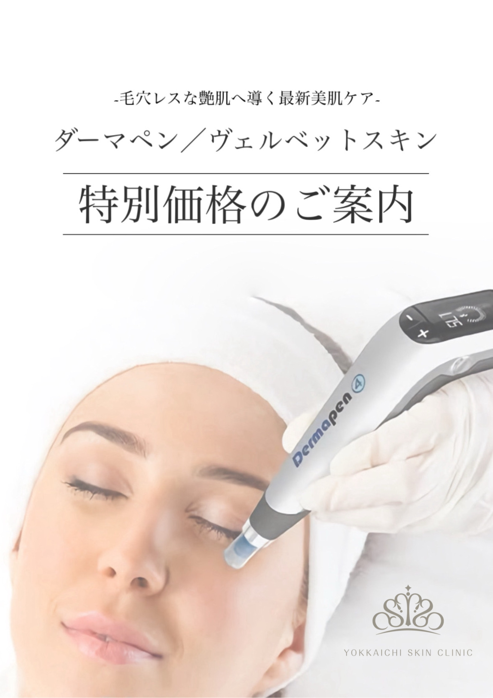 ダーマペン、ヴェルベットスキンスキン特別価格